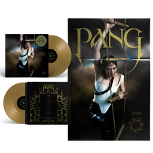 Load image into Gallery viewer, PANG - 5 YEAR ANNIVERSARY GOLD LP
